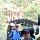 안골길 9 이미지