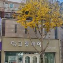 그릿헤어 봉선점