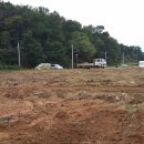 자영농장 이미지