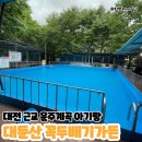 대둔산꼭두배기펜션 | 대전 근교 아기랑 대둔산 운주계곡 꼭두배기가든 오리백숙 좋아