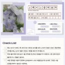 그레이스플라워 이미지