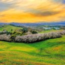 수천목장 이미지