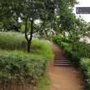 산들초등학교 이미지