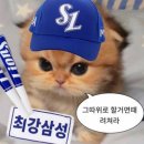 임가네칡냉면