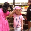 모산농장 이미지