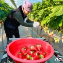 송암리 농장 이미지