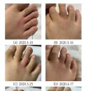 송미사 - 서귀포시 신영로 122 | 송미사