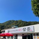 샬롬삼계탕 | 단양맛집 샬롬식당 가족 모임으로 딱 좋았던 약선 닭백숙 후기