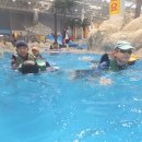 제일경희태권도 이미지