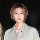 다미 이미지