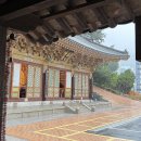 585. 세상에 무거운 짐, 삼독심(탐진치) 이미지
