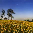 포리 소공원 이미지