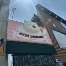 인형방 | [청주 성안동 고양이카페]:성안길 비스캣고양이카페 후기