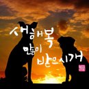 금호타이어 동청주점 이미지