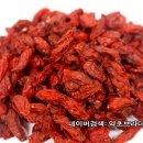 약초브라더스