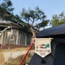 성주 가야경펜션 캠핑장 후기