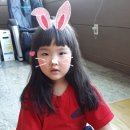 여수스포렉스 이미지