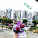 하사랑디자인