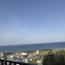 더블루테라레지던스 | 속초 | 더 블루테라 에어비에비 숙소후기