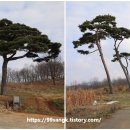 보령 요산군 이기사당 이미지