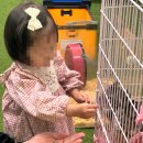 센트럴 곤충생태농장 이미지