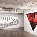 ECO FLOW - 이미지