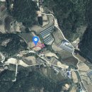 대일부동산중개사무소 이미지