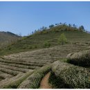 해남 두륜산, 전주 한옥마을, 마이산 탑사^^ 이미지