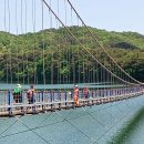 송죽 Daum카페