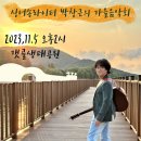 가을음악회 이미지