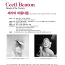 세실