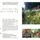오가면016 Daum카페