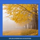 경성대학교 경영대학원 이미지