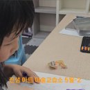 내가그린그림미술교습소