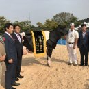 그랜드목장 경기데일리