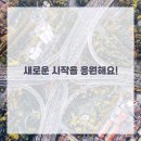 영통단단마디의원 네이버블로그