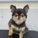 올치유치원 이미지