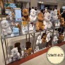 현대백화점멀티플라자주 | 대구 실내데이트 가볼만한곳 더현대 현대백화점 팝업스토어 3층 쿠앙크앙 가격총정리