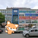 롯데힐24시불한증막사우나 이미지