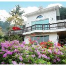 가평파인힐펜션 이미지