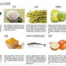 혈관 건강이 걱정될 때, 고지혈증에 좋은 음식 3가지 이미지