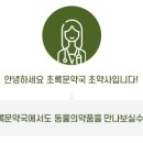 초록문약국 이미지