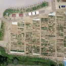 이준구농장 이미지