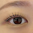 노치과의원 | 부산 동래 노글루 속눈썹펌 잘하는 곳 브릴랑 후기