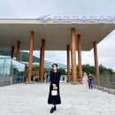 세종스타디움샵 | 대구 비오는날 가볼만한곳 미술 전시회 간송미술관 현장 예매 할인 및 주차 후기