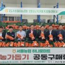 공동구매본부