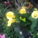 뜨라네해물 이미지