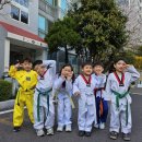 히어로태권도장 이미지