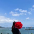 오션클래스어린이집 이미지