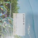 술이단밤 - 아산시 운용길 54 | [도서 후기] 비눗방울 퐁